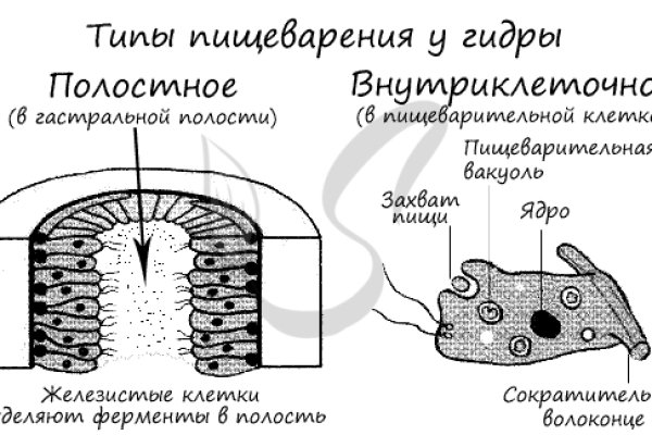 Кракен действующая ссылка